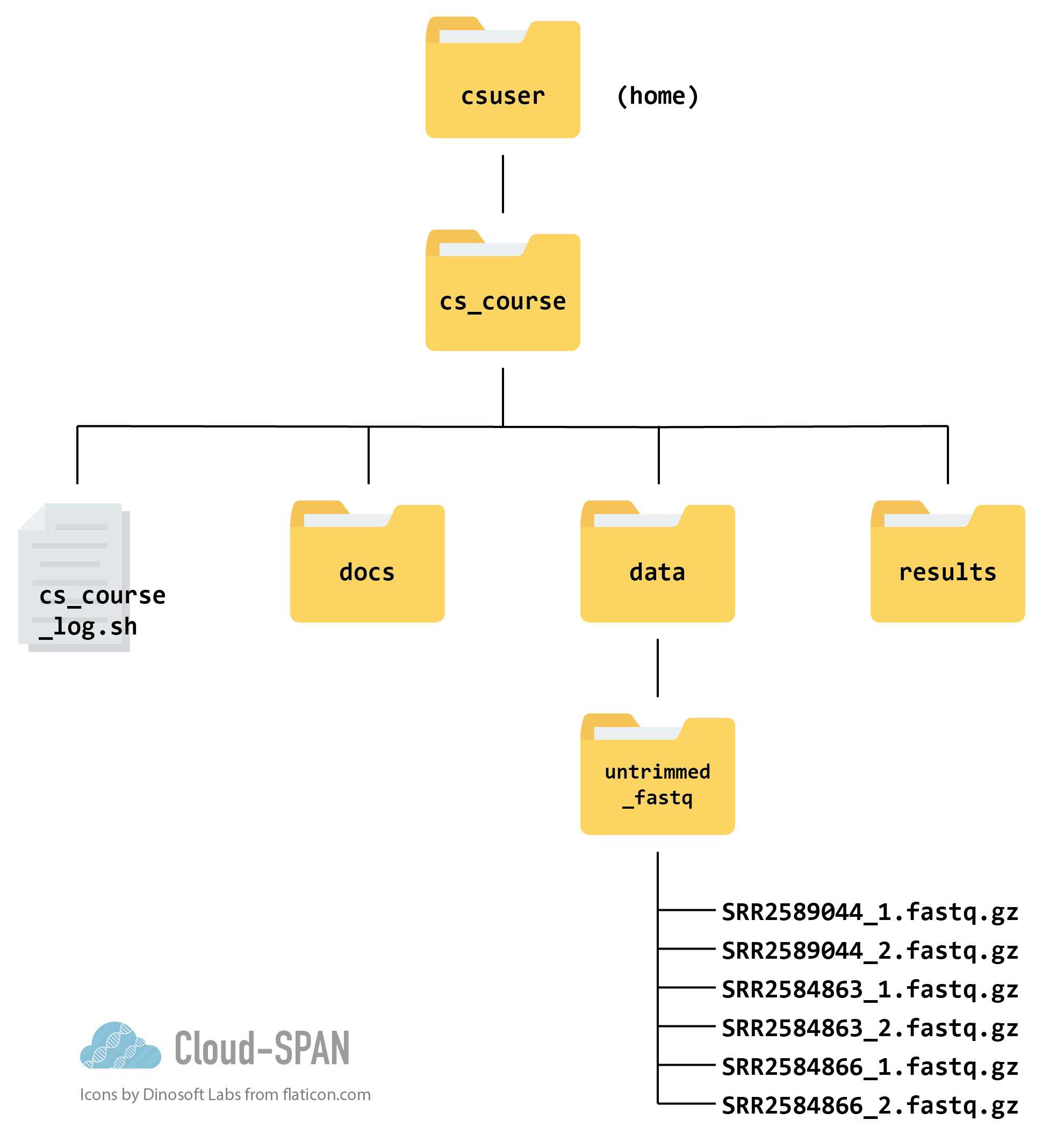 A file structure tree.