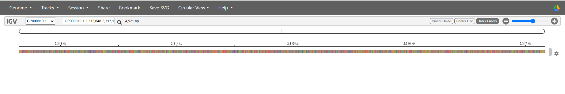 IGV web app with reference genome loaded