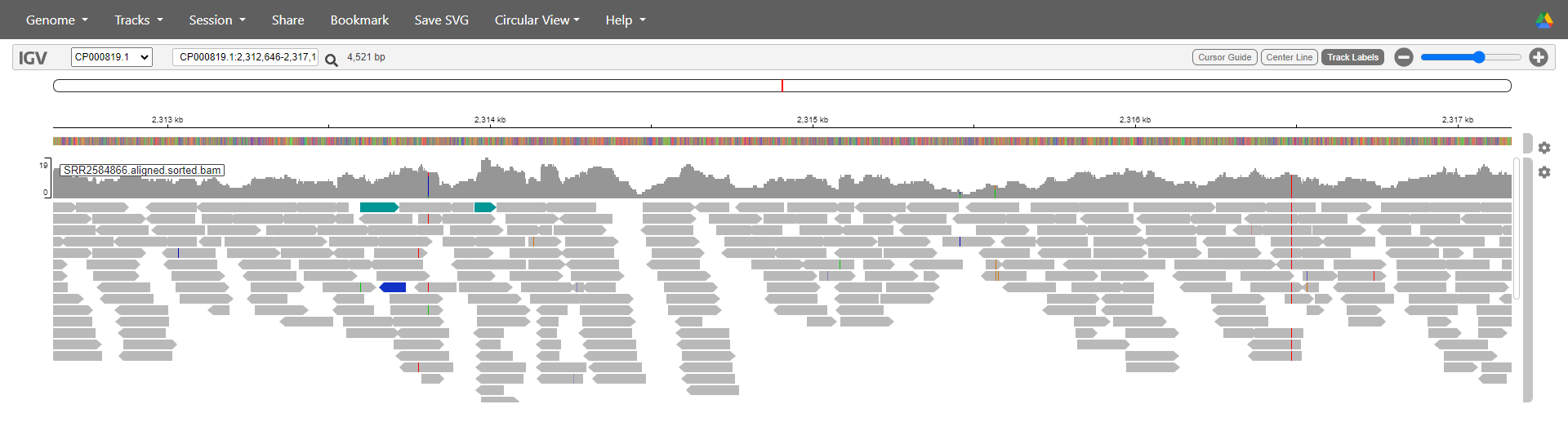 IGV web app with reference genome and read alignment loaded