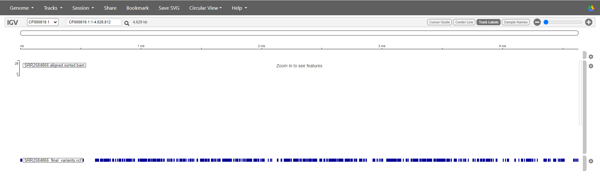 IGV web app with reference genome, read alignment and variant data loaded