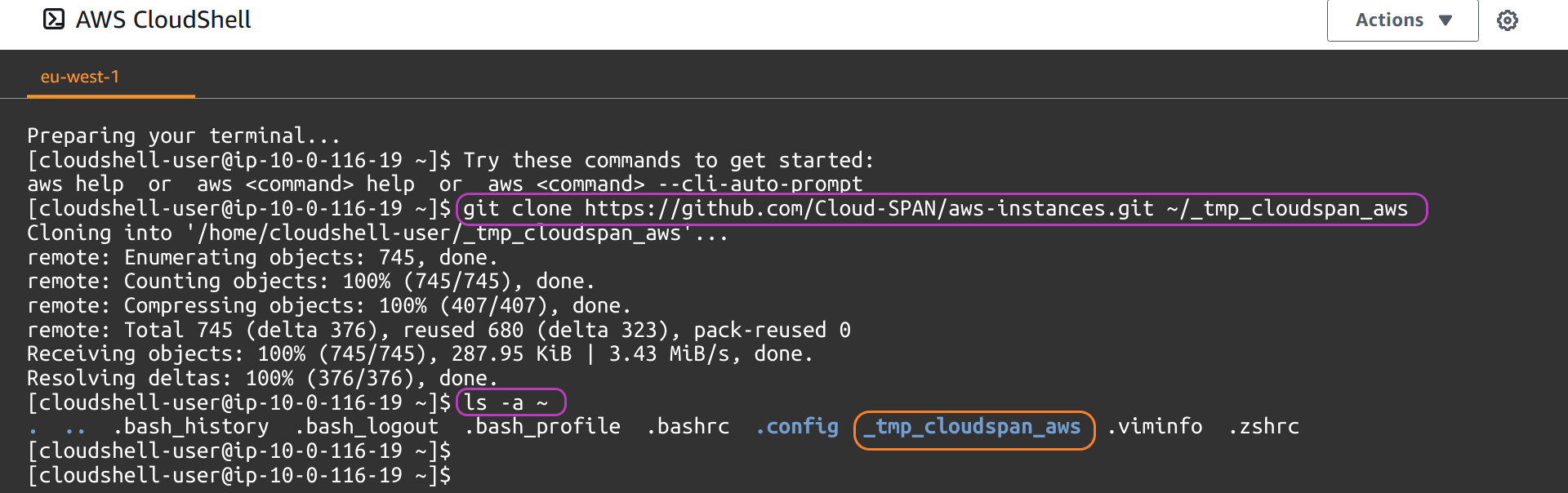 Screenshot of AWS Console page in a browser showing the AWS CloudShell terminal with git command line, the ls command line and download directory circled