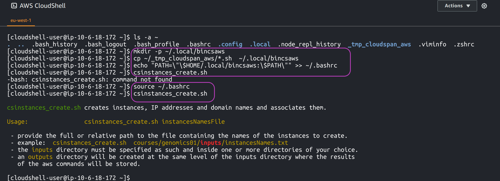 Screenshot of AWS Console page in a browser showing the AWS CloudShell terminal with command lines for installing and running one of the Scripts circled