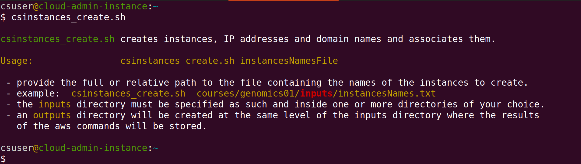 Screenshot of Linux terminal with the name of the script "csinstances_create.sh" circled