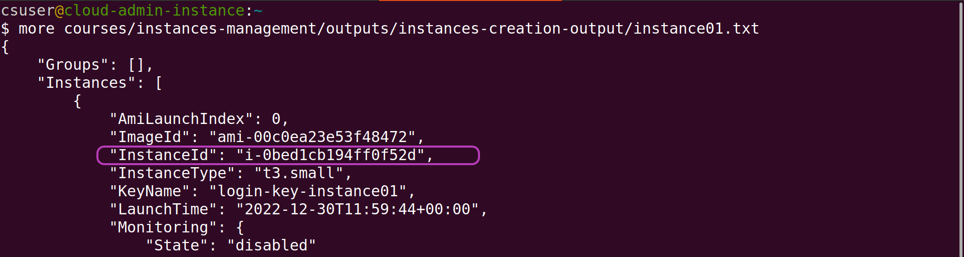 Screenshot of Linux terminal showing the run of the command "more courses/instances-management/outputs/instances-creation-output/instance01.txt" which displays the contents of that file, with the "InstanceID" field and its value circled.