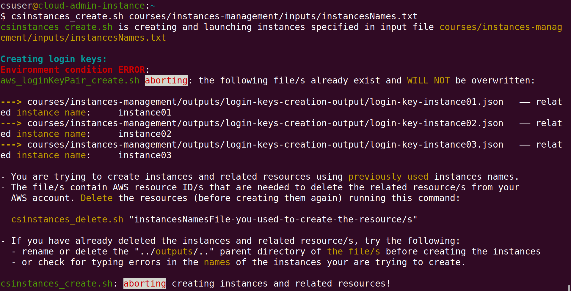 Screenshot of Linux terminal showing the run of csinstance_create.sh and the abort message for having found that some instances or related resources have already been created.
