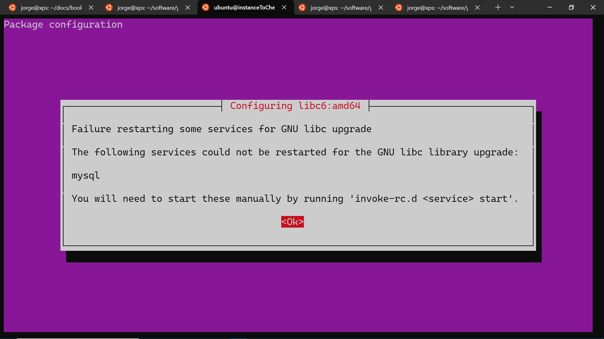 Screenshot of ubuntu release upgrading option to accept.