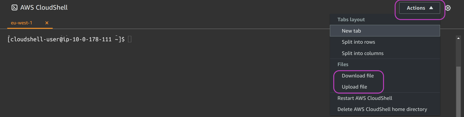 Screenshot of AWS Console page in a browser showing the AWS CloudShell terminal with the options Actions, Download File and Upload File circled.