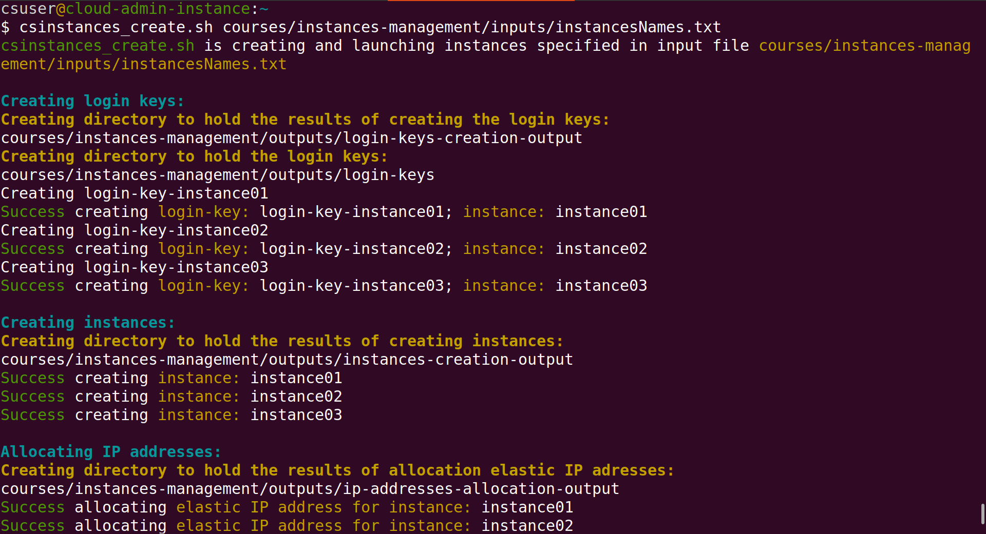 Screenshot of Linux terminal showing the terminal prompt, the run of the command csinstances_create.sh courses/instances-management/inputs/instancesNames.txt, and part of the output results of that command.