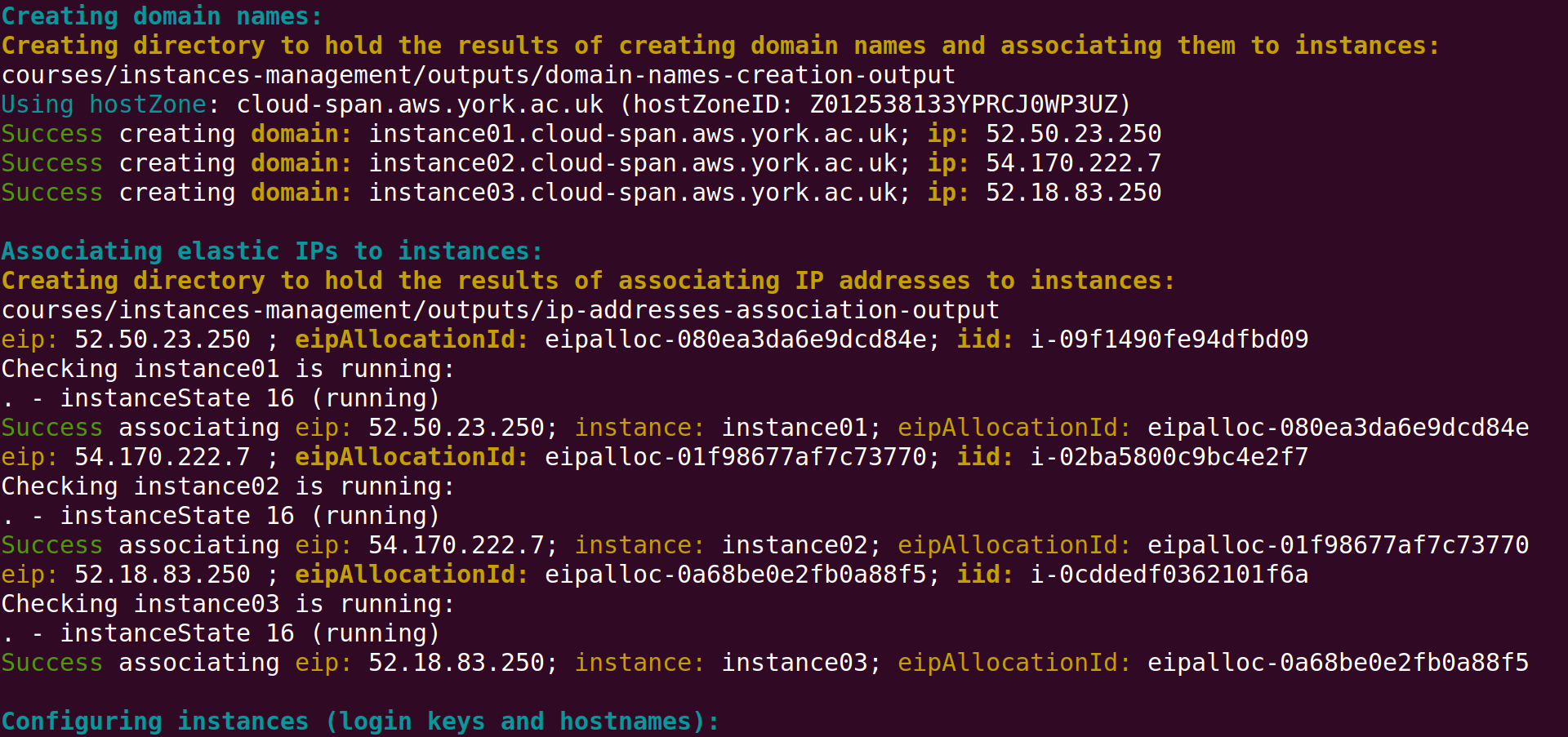 Screenshot of Linux terminal showing the middle part of the output results of the command csinstances_create.sh run previously.