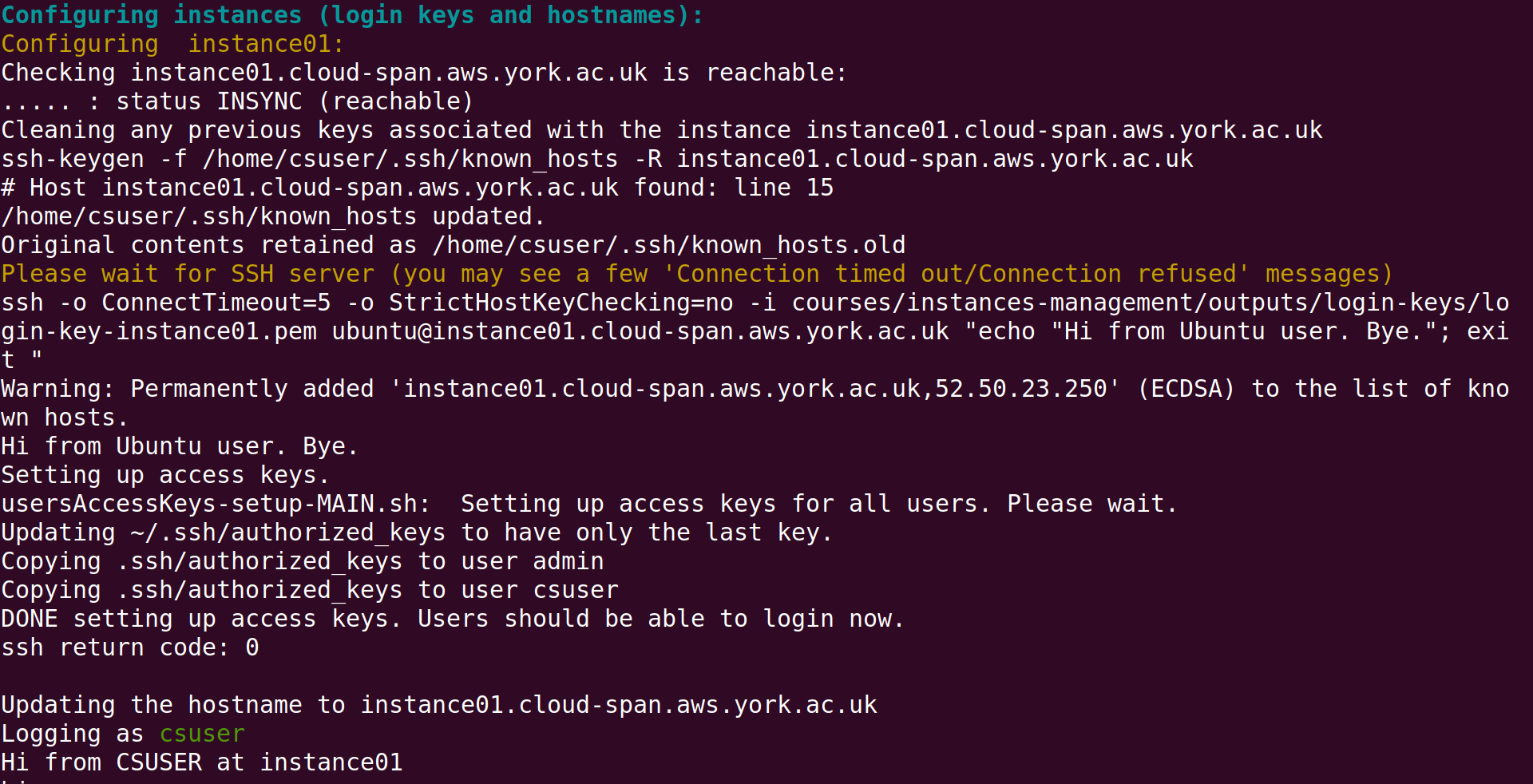 Screenshot of Linux terminal showing the last part of the output results of the command csinstances_create.sh run previously.