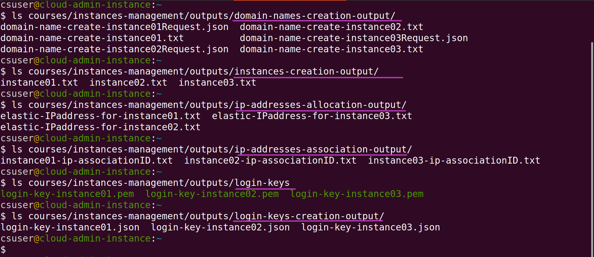 Screenshot of Linux terminal showing the run of the command ls for each of the subdirectories shown in the previous screenshot; the results of each ls command shows the names of the files created by the scripts invoked by the scripts csinstances_create.sh.