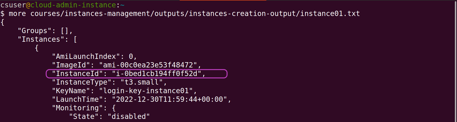 Screenshot of Linux terminal showing the run of the command more courses/instances-management/outputs/instances-creation-output/instance01.txt which displays the contents of that file, with the InstanceID field and its value circled.