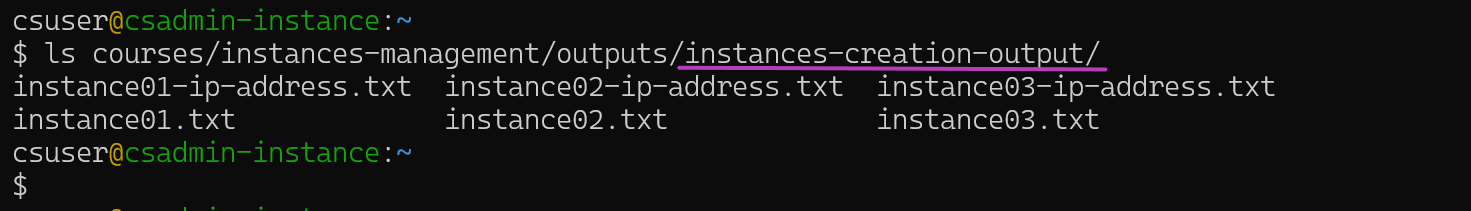 Screenshot of Linux terminal showing the run of the command ls for the subdirectory-instances-creation-output-no-domain-names.