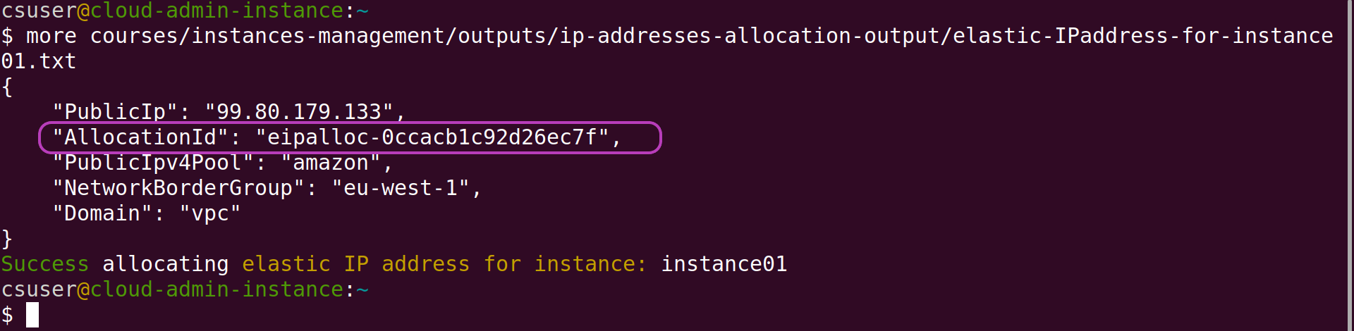 Screenshot of Linux terminal showing the run of the command more courses/instances-management/outputs/ip-addresses-allocation-output/elastic-IPaddress-for-instance01.txt which displays the contents of that file, with the AllocationID field and its value circled.