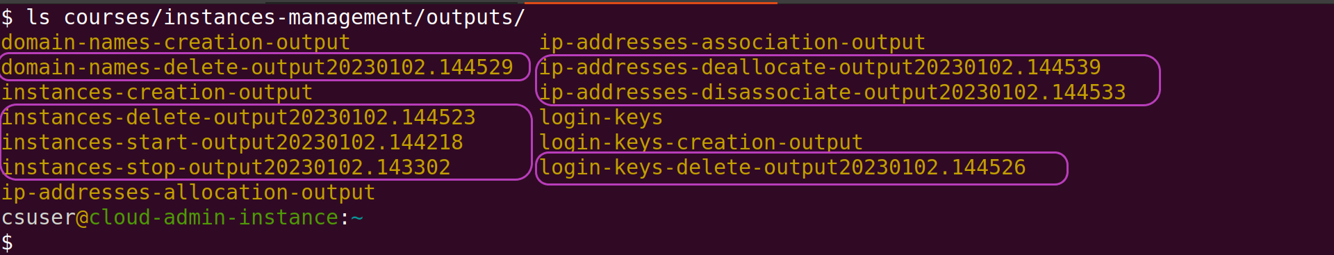 Screenshot of Linux terminal showing the output of the command ls courses/instances-management/outputs/ after stopping, re-starting and deleting the three instances; the output shows the new directories created by the scripts that stopped, started and deleted the instances.