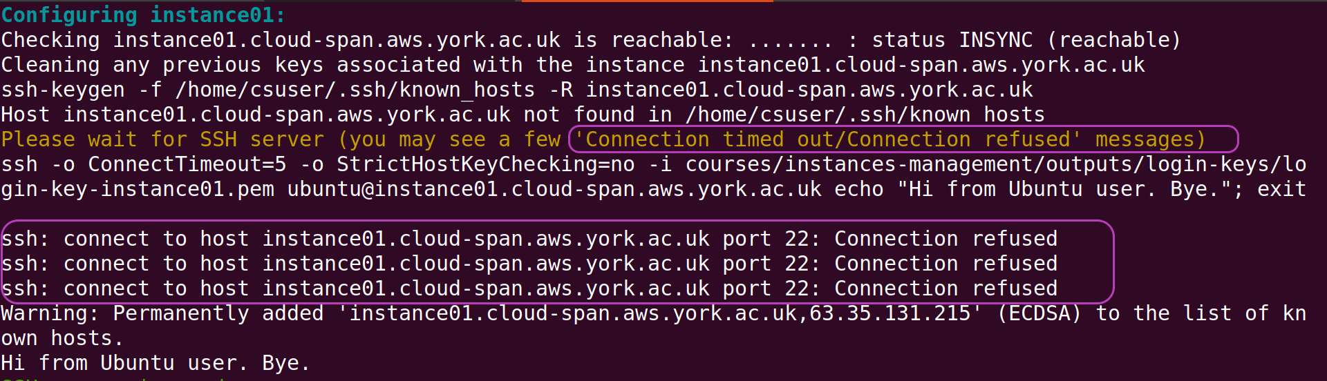 Screenshot of Linux terminal showing the last part of the output of running the command csinstances_create.sh; that part corresponds to the configuration step of each instance and the screenshot shows the Connection timed out and Connection refused messages circled that may arise during the configuration step.