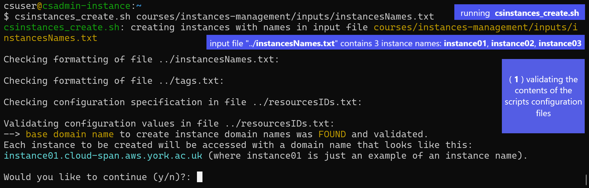 Screenshot of Linux terminal showing the terminal prompt, the run of the command csinstances_create.sh courses/instances-management/inputs/instancesNames.txt, and part of the output results of that command.