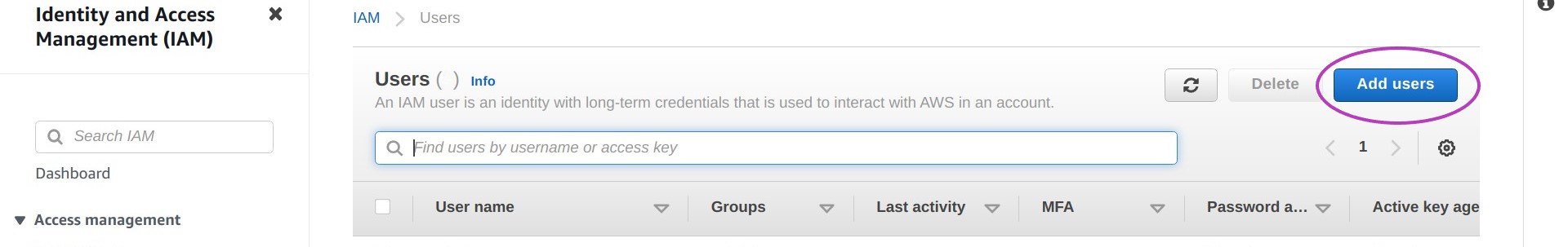 Screen shot of AWS Console IAM Users page in a browser, with the option Add users circled