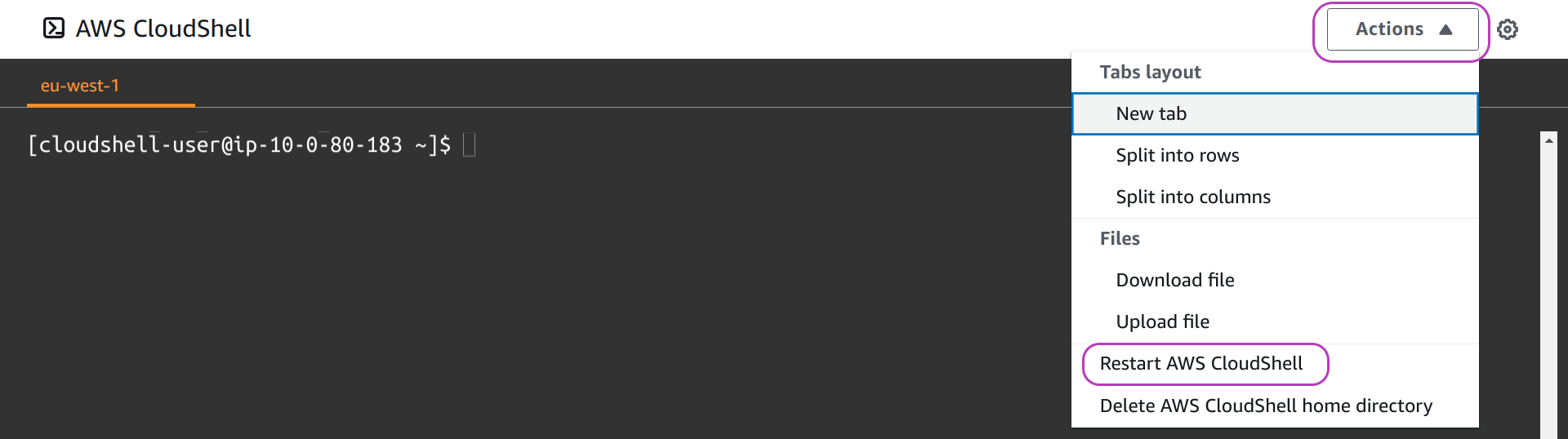 Screenshot of AWS Console page in a browser showing the AWS CloudShell terminal with the options Actions and Restart AWS Cloudshell circled