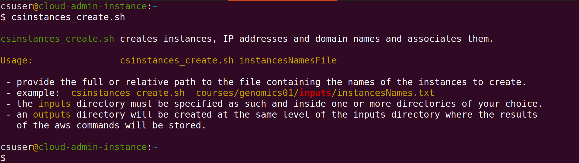 Screenshot of Linux terminal with the name of the script csinstances_create.sh circled