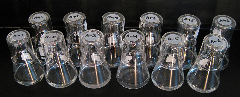 Photograph of 12 flasks