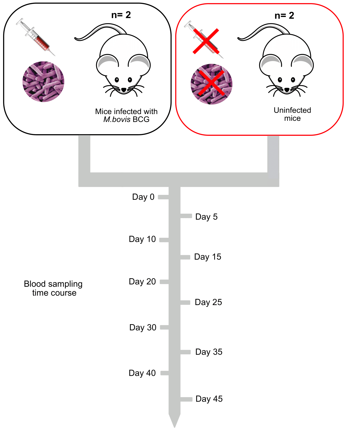 rnaseq_design