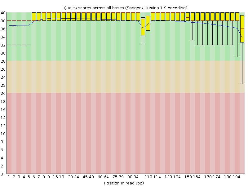 Per base sequence quality graph from the Fastqc output we generated above