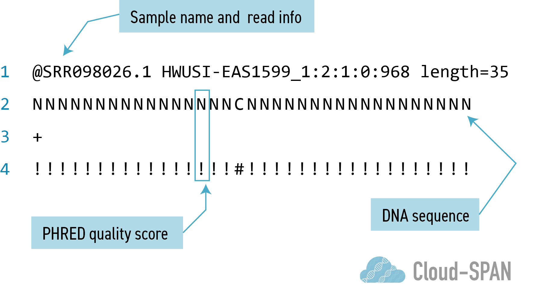 Assessing Read Quality Trimming And Filtering QC Assembly