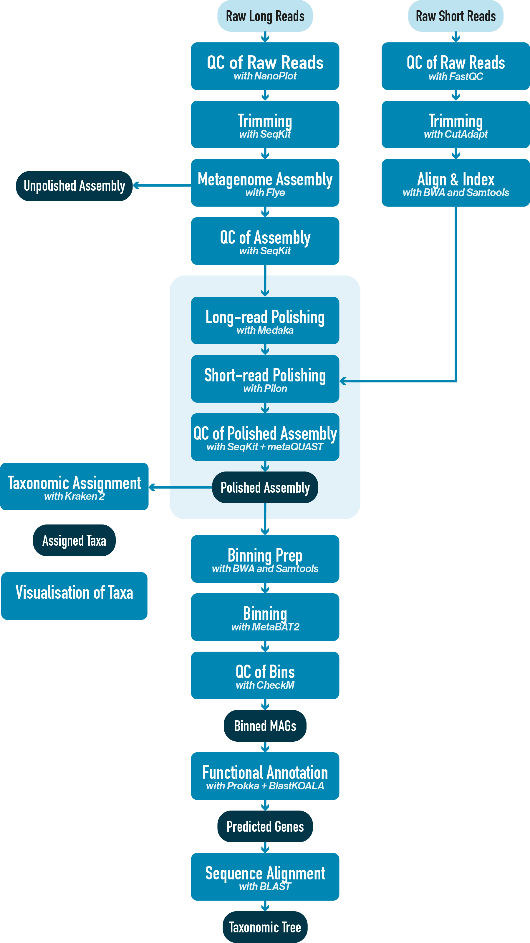 Workflow diagram with long + short read polishing and polished assembly quality control steps highlighted