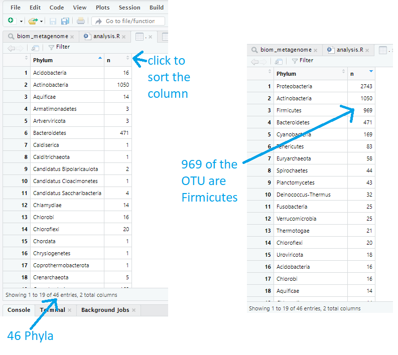 Two views of the phyla frequency table: sorted alphabetically by phylum on the left and by the number of OTUs (n) in each phylum on the right