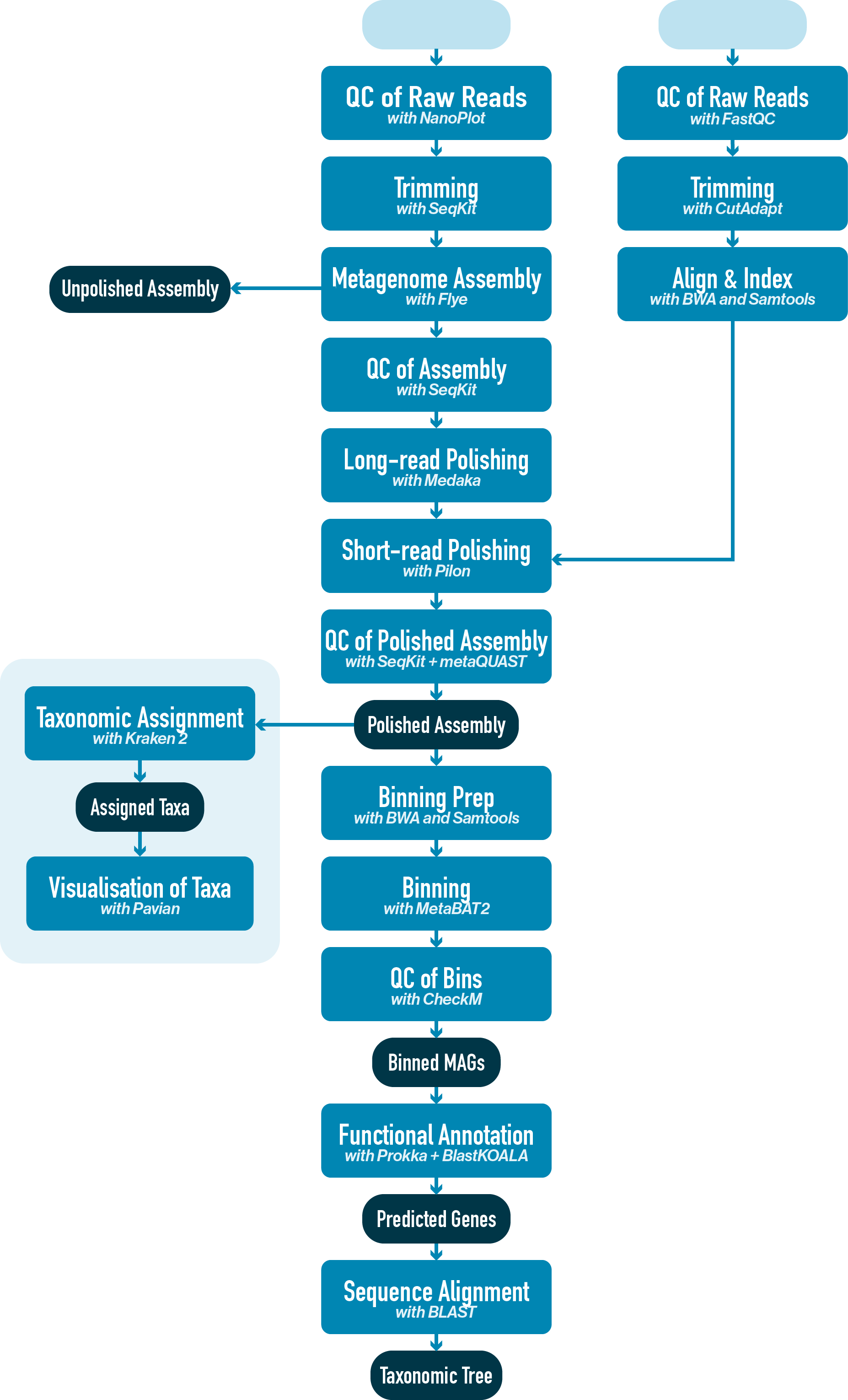 Workflow diagram with taxonomic assignment and taxa visualisation steps highlighted