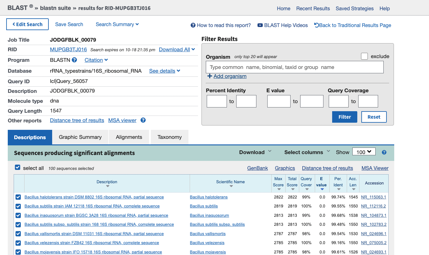 Output of a BLAST search