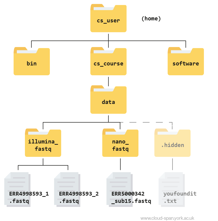 A file hierarchy tree.