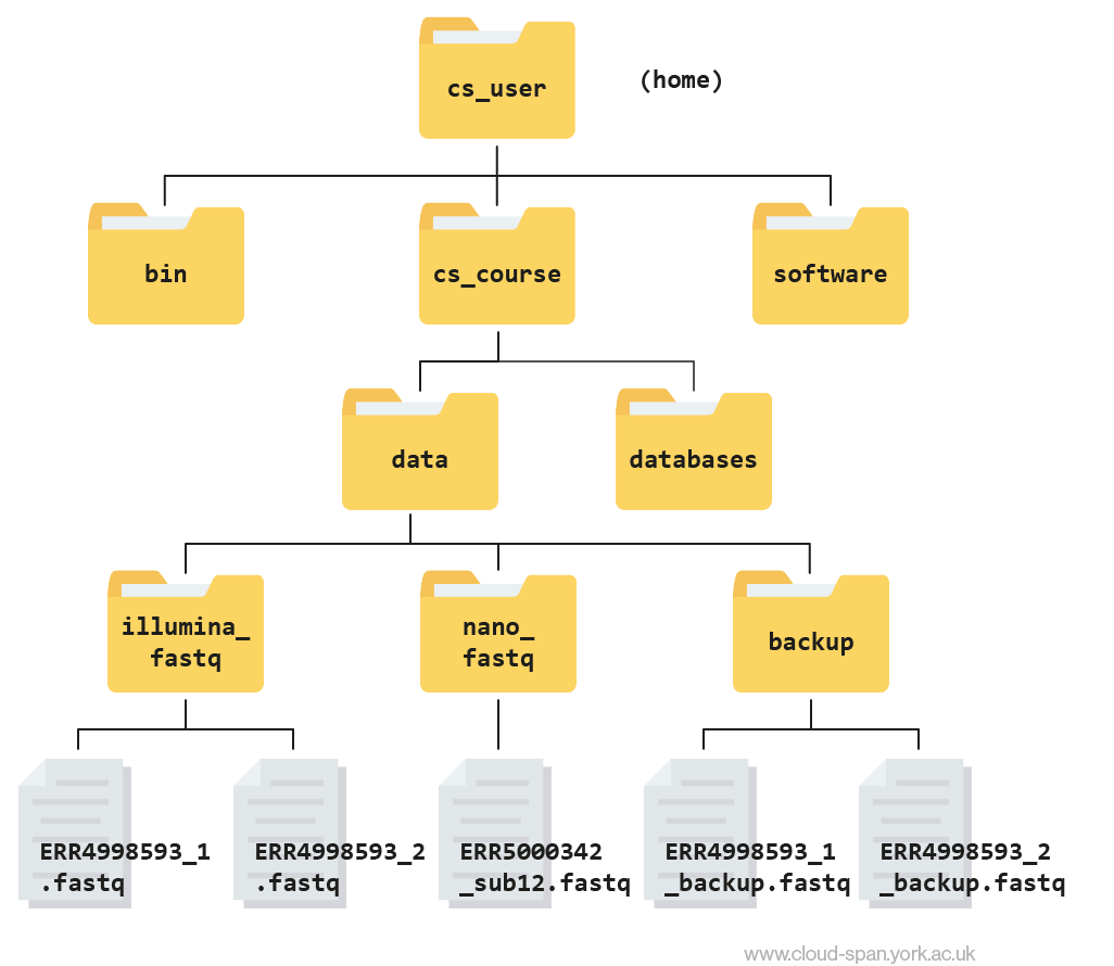 A file hierarchy tree.