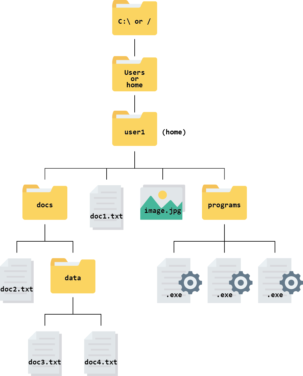 A file hierarchy containing with root and home directories labelled.