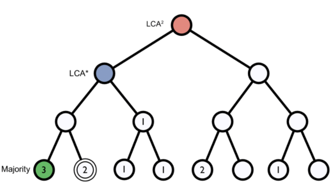 Diagram of taxonomic tree.