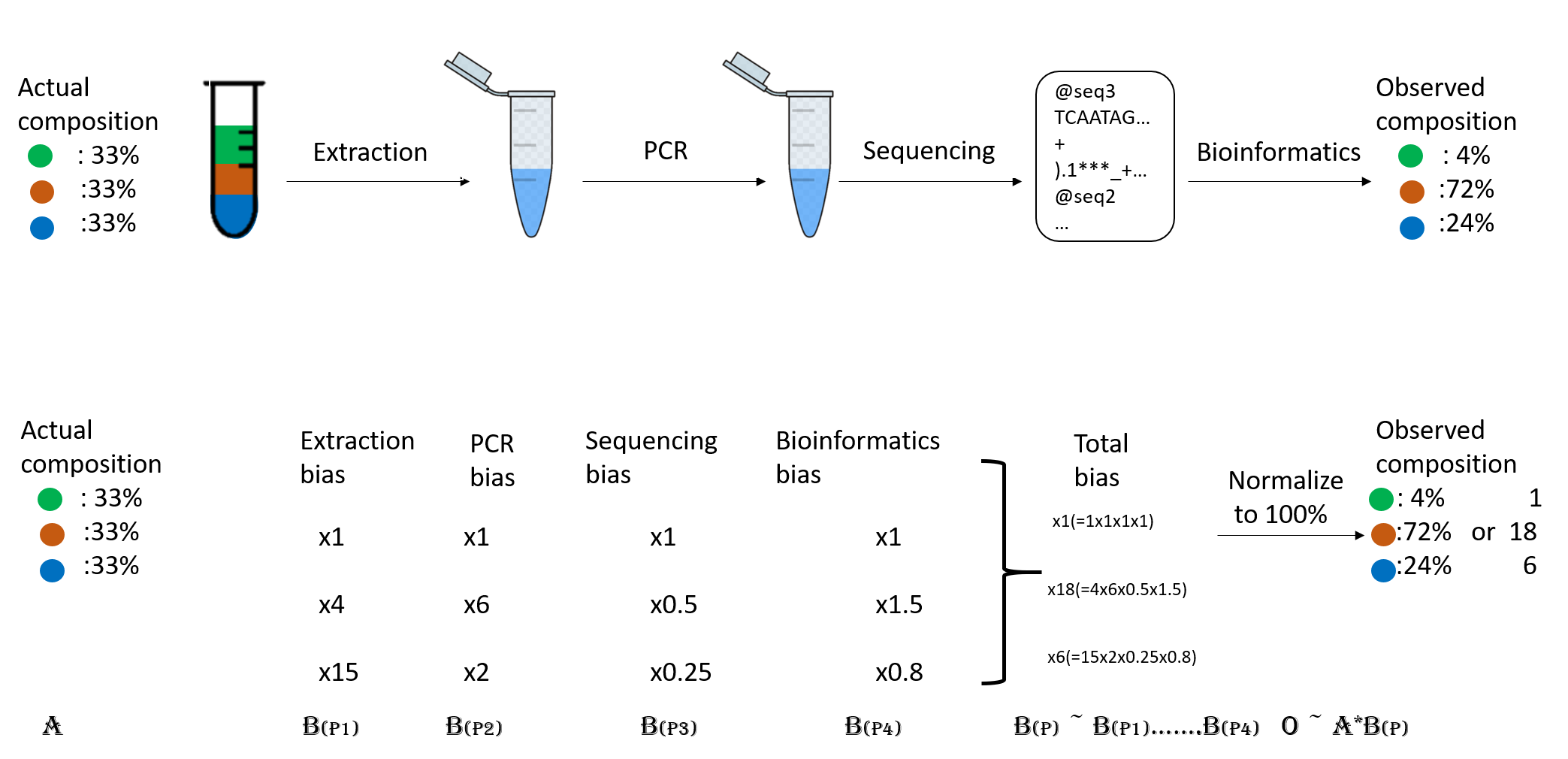 Flow diagram that shows how the initial composition of 33% for each of the three taxa in the sample ends up being 4%, 72% and 24% after the biases imposed by the extraction, PCR, sequencing and bioinformatics steps.