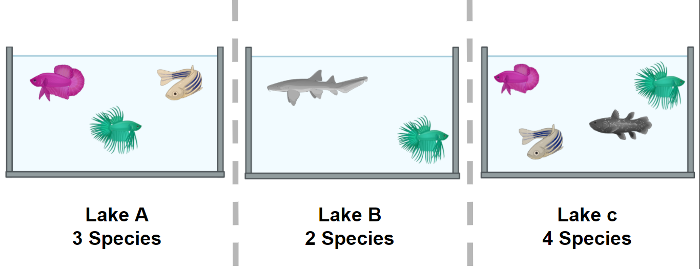 Diagram to demonstratealpha diversity. Three lakes are shown, A, B and C. In lake A, we have three fishes, each one of a different species. In lake B, we have two fishes each one of a different species.And in lake C we have four fishes, each one of different species.