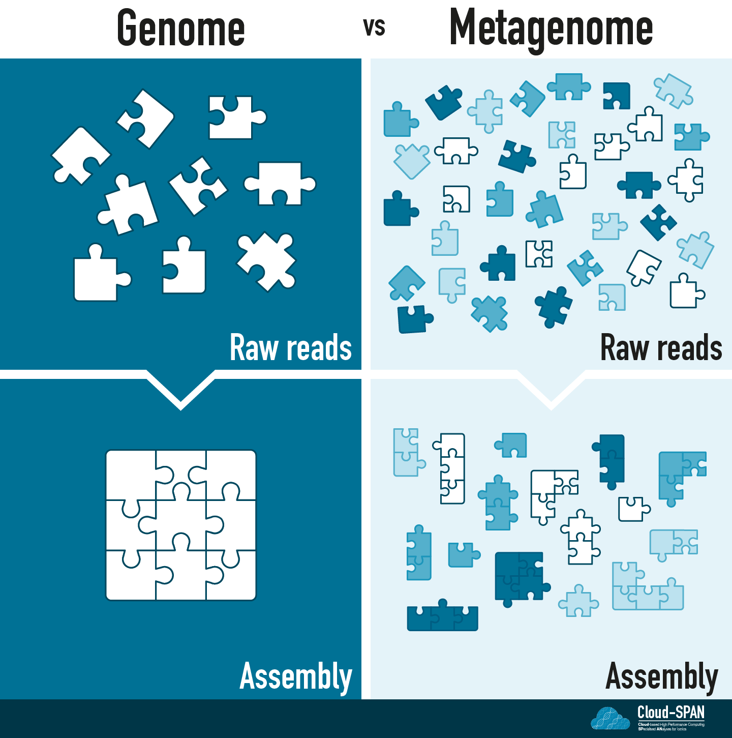 Diagram comparing genomics and metagenomics using the jigsaw metaphor described above.