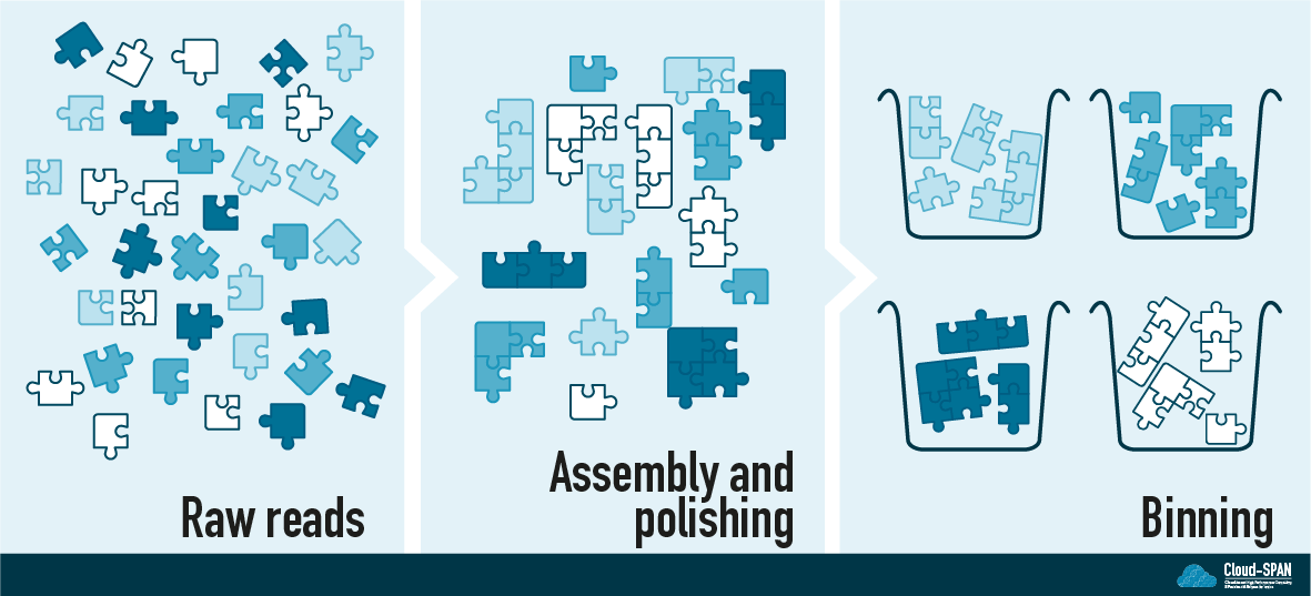 Diagram depicting the DNA fragments as jigsaw pieces, then assembled into small groups as part of assembling/polishing, then binned into separate bins as part of binning