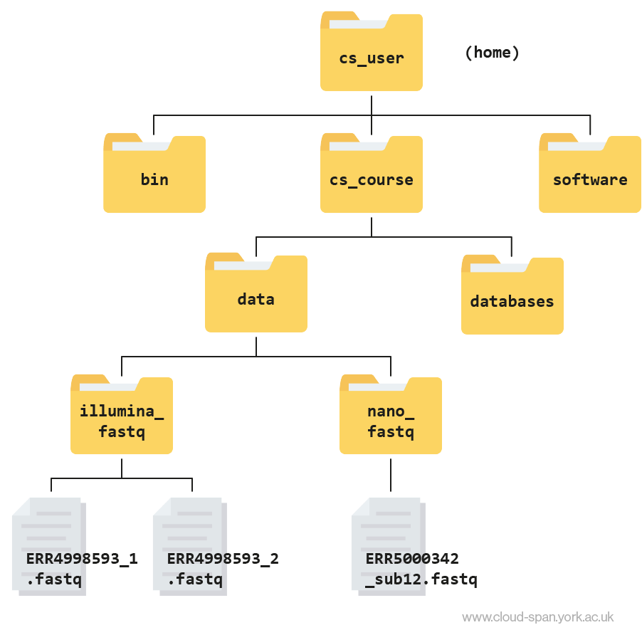 A file hierarchy tree.