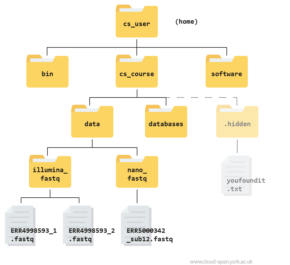 Navigating Files and Directories – Cloud-SPAN Metagenomics