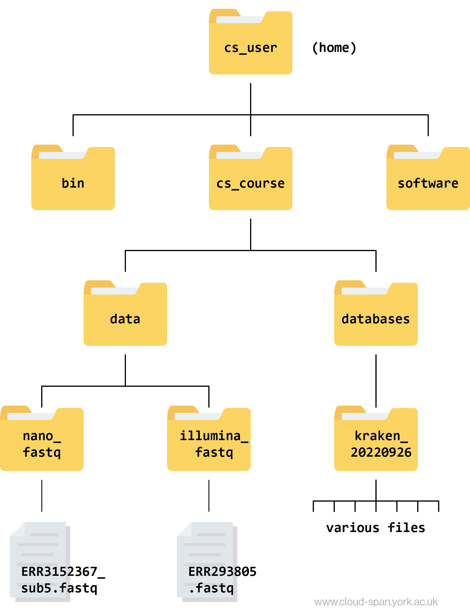 A file hierarchy tree