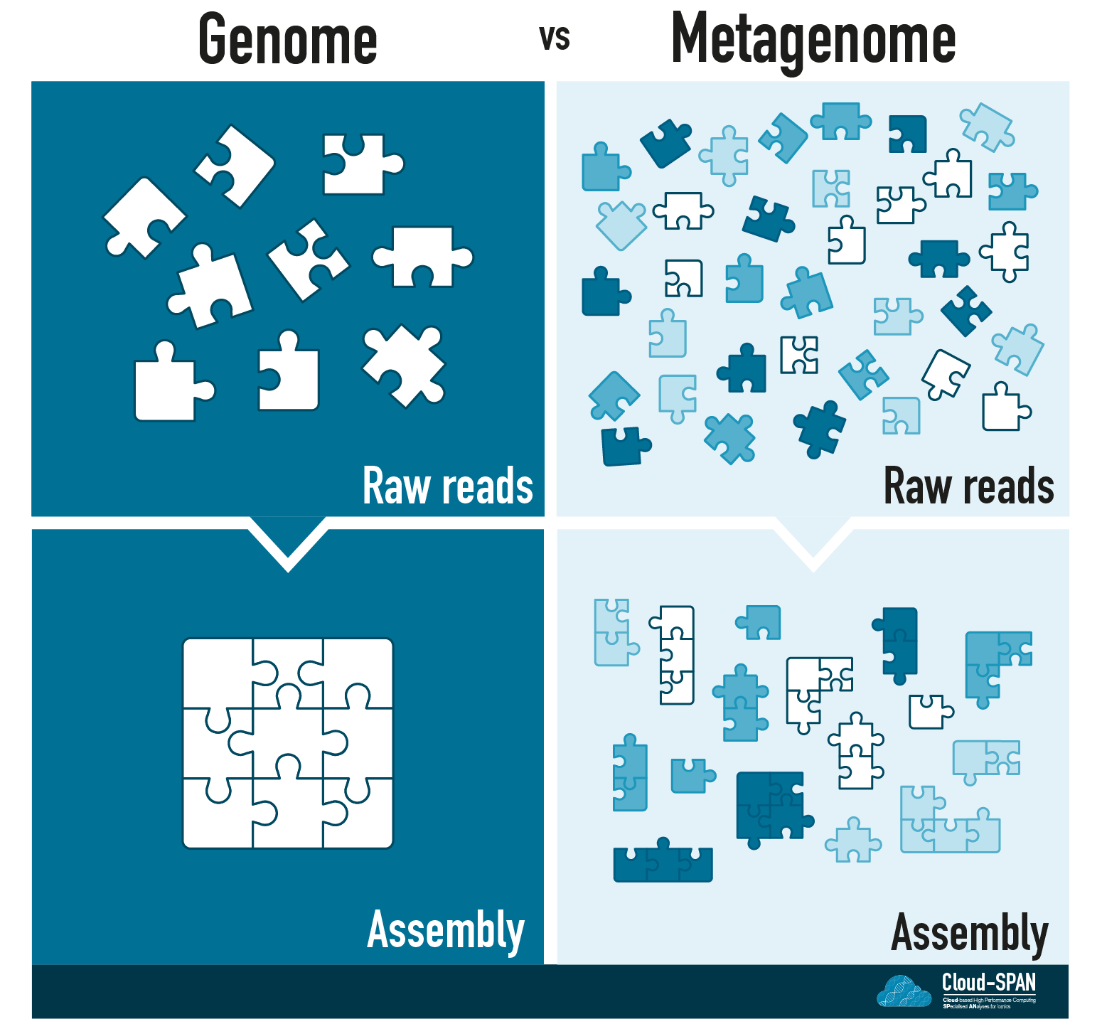 Metagenomic flow diagram with the steps raw reads, assembly and polishing and binning .