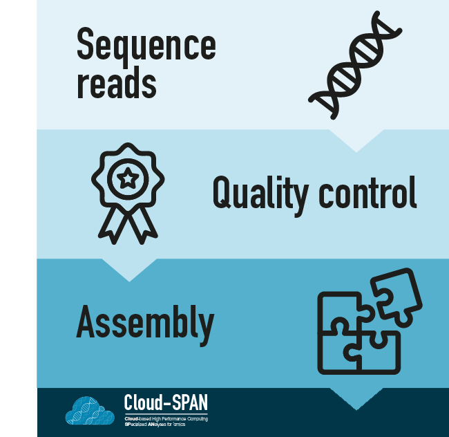 Analysis flow diagram that shows the steps: Sequence reads, Quality control and assembly.