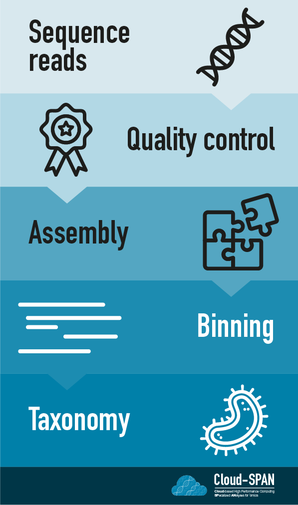 Flow diagram that shows the steps: Sequence reads, Quality control, Assembly, Binning and Taxonomy