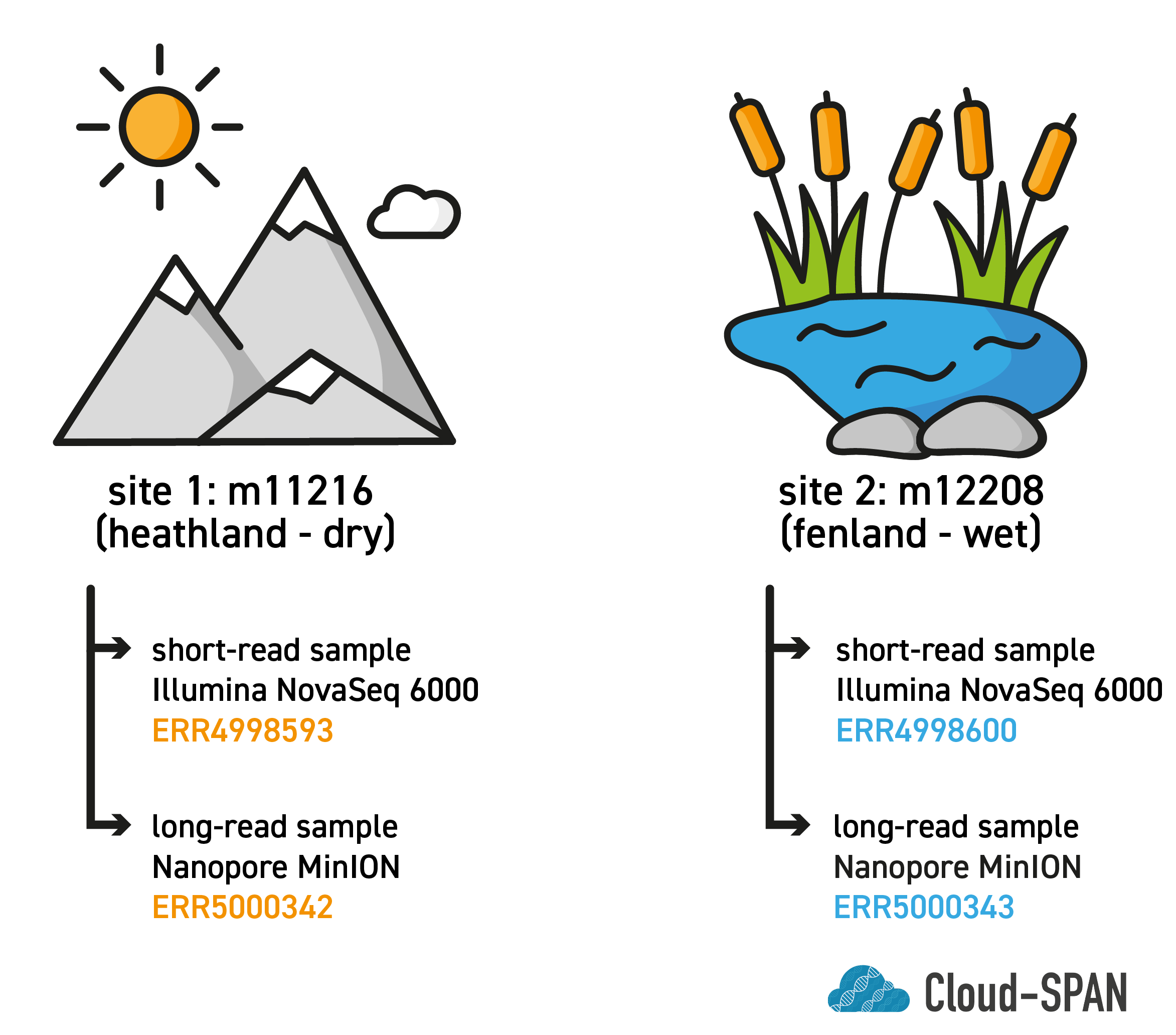 Graphic showing the two sample sites: m11216, a mountainous heathland site, and m12208, a boggy fenland site.