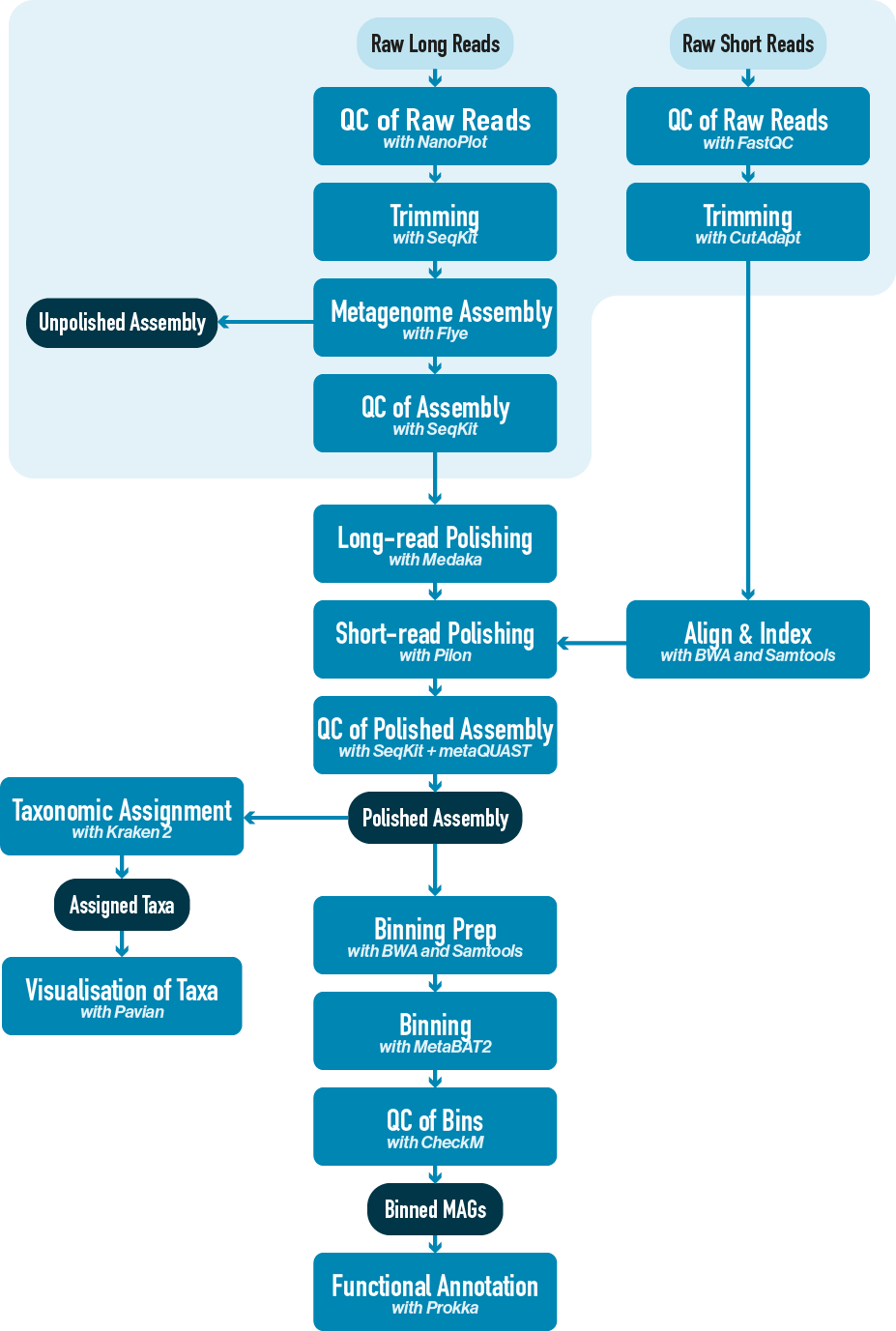 Workflow diagram with quality control, trimming and metagenome assembly steps highlighted