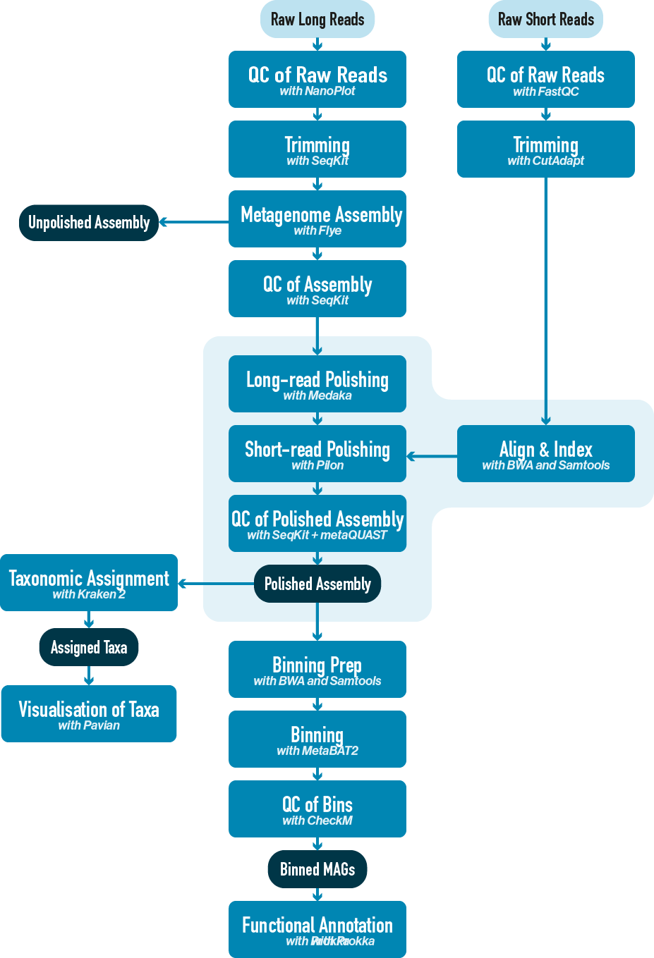 Workflow diagram with long + short read polishing and polished assembly quality control steps highlighted