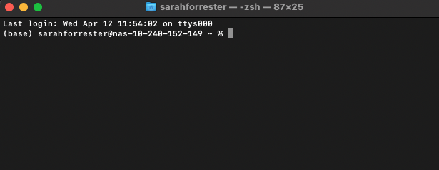 Mac terminal running Zsh shell